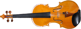 violin