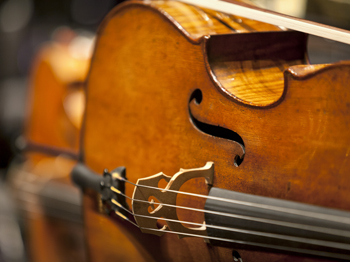 Cello350